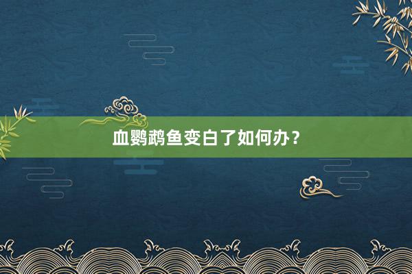 血鹦鹉鱼变白了如何办？